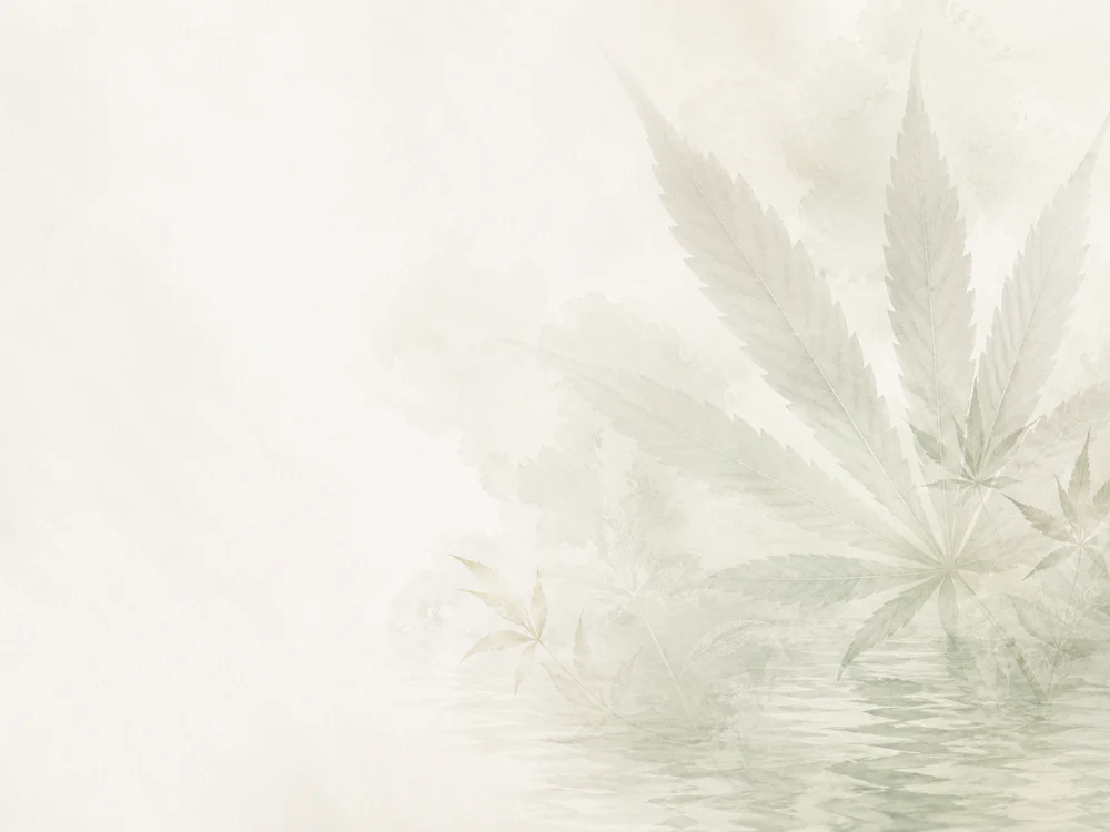 Hemp Distilling brand artwork with delicate hemp leaves and water on a pale background